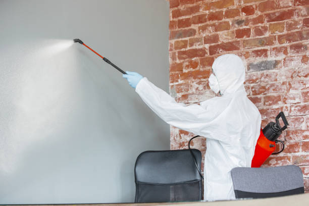 Asbestos and Lead Testing During Mold Inspection in Golden Triangle, NJ