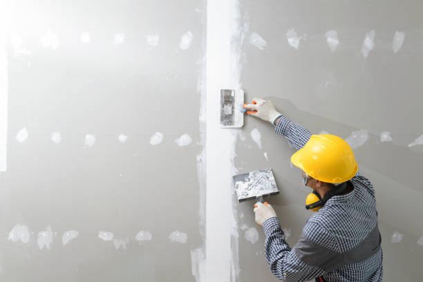 Best HVAC Mold Inspection and Cleaning  in Golden Triangle, NJ