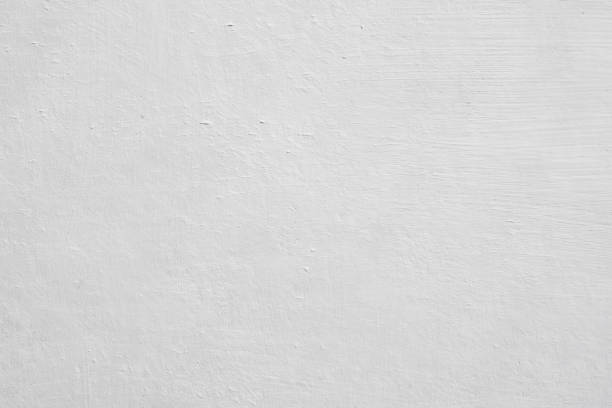 Best Mold Damage Restoration  in Golden Triangle, NJ