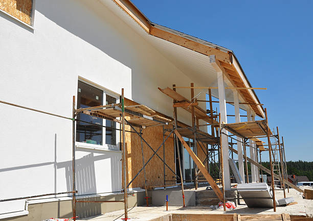  Golden Triangle, NJ Mold Removal Pros