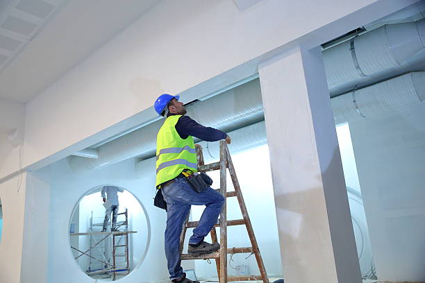 Reliable Golden Triangle, NJ Mold Removal Solutions